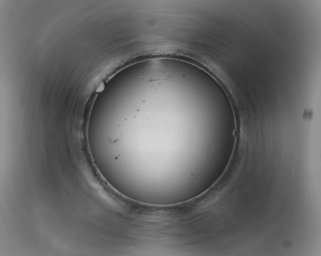 X0000114130485200910151549