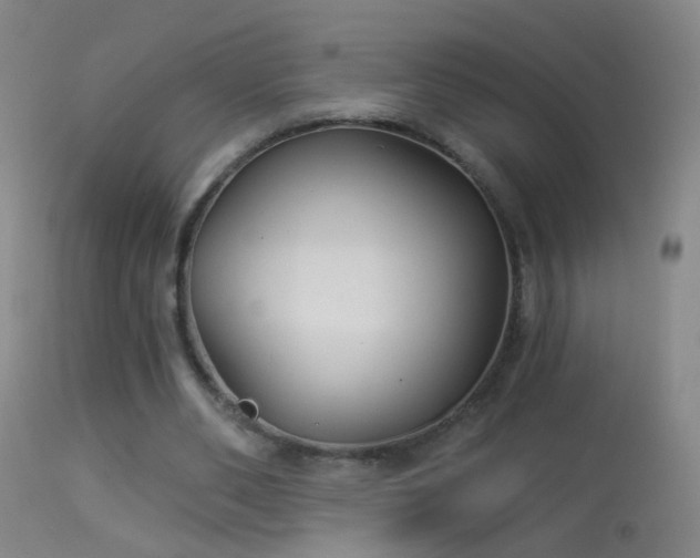 X0000114130486200910151549