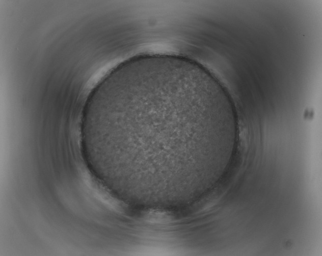 X0000114130487200910151549