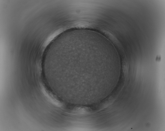 X0000114130488200910151549