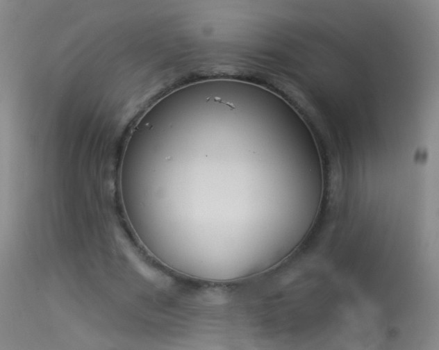 X0000114130489200910151549