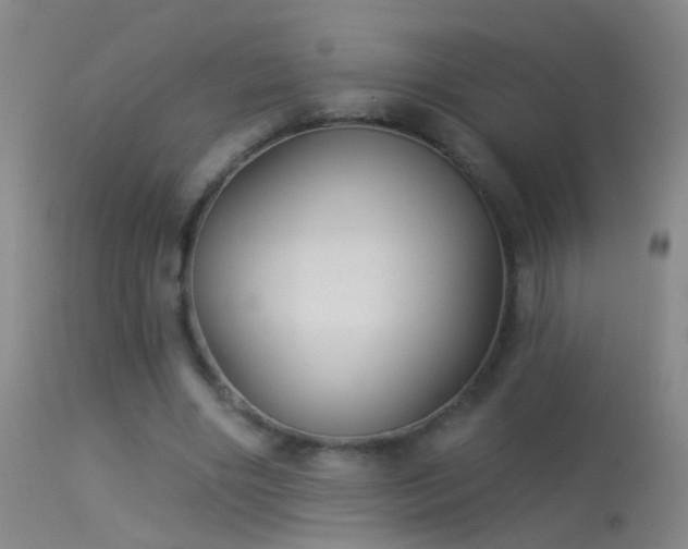 X0000114130490200910151549