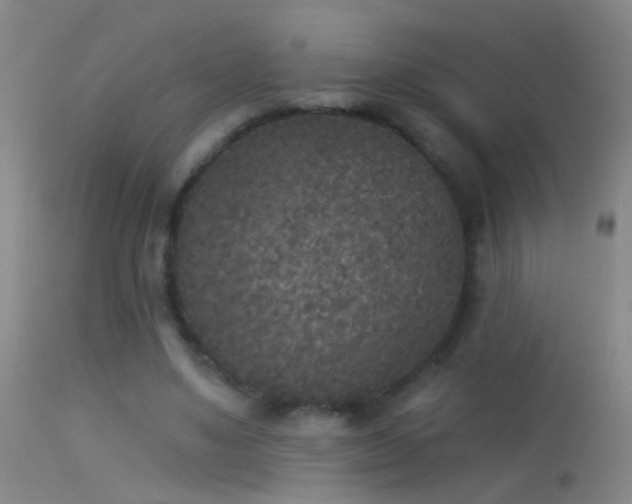 X0000114130491200910151549