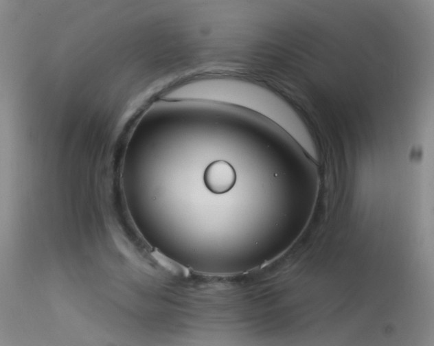 X0000114130492200910151549