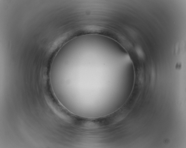 X0000114130494200910151549