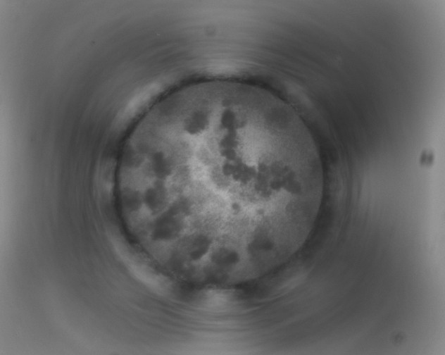 X0000114130495200910151549