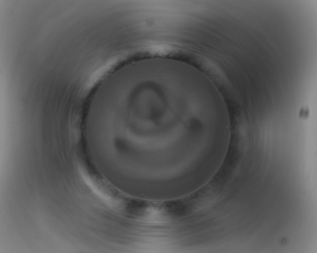 X0000114130496200910151549