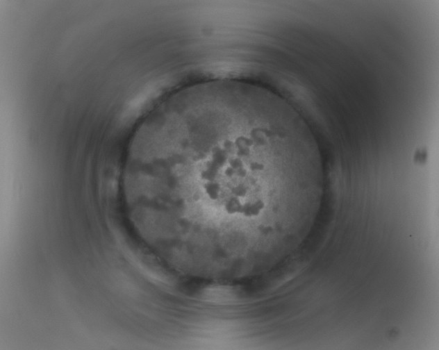 X0000114130499200910151548