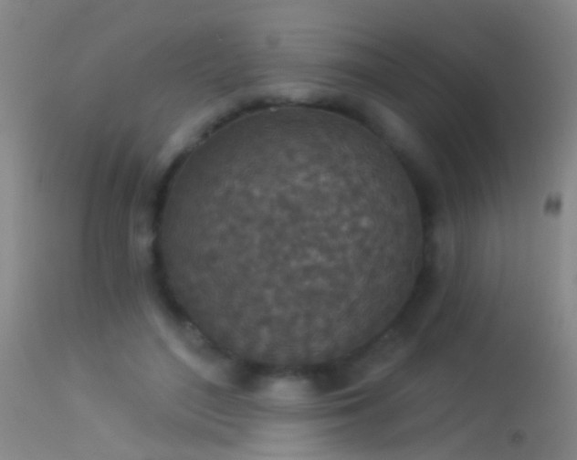 X0000114130500200910151548