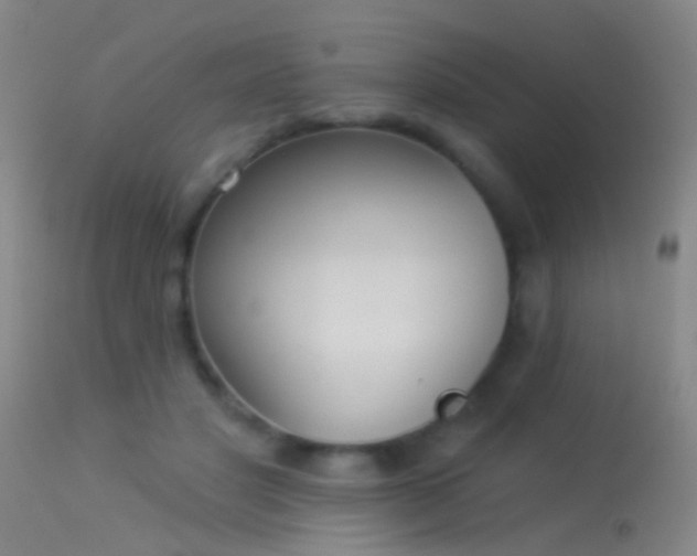 X0000114130501200910151548