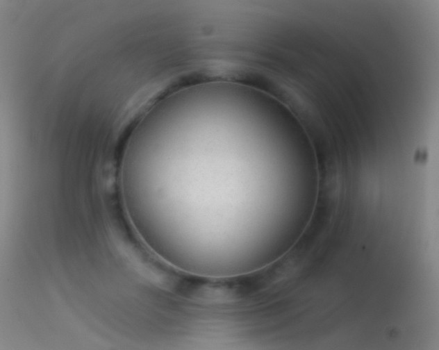 X0000114130502200910151548