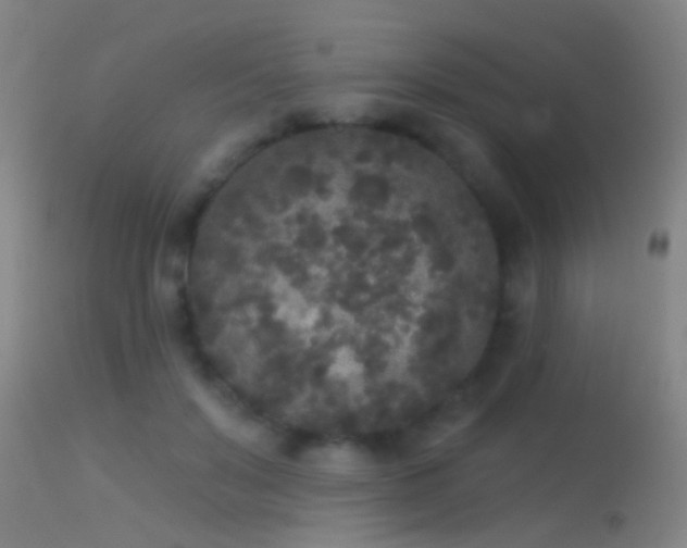 X0000114130503200910151548