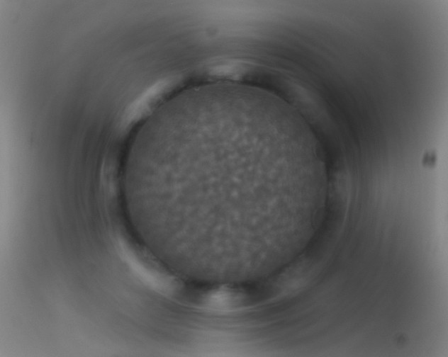 X0000114130504200910151548