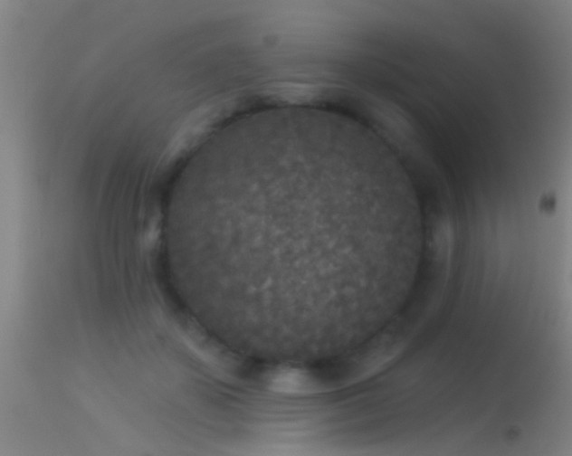 X0000114130507200910151548