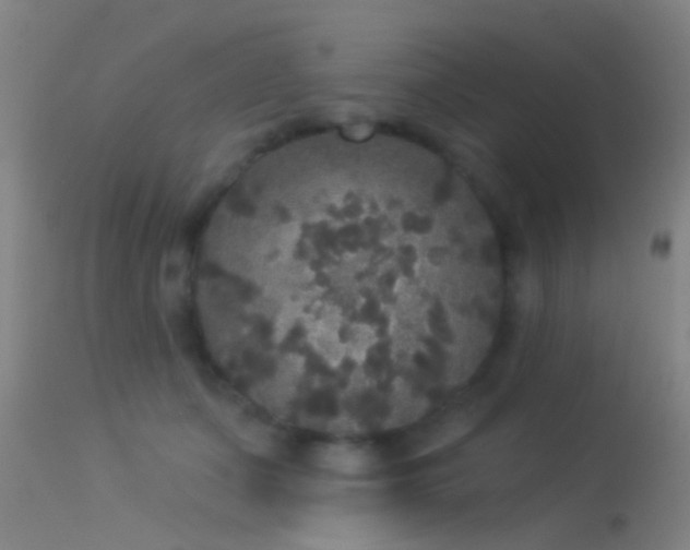 X0000114130511200910151548