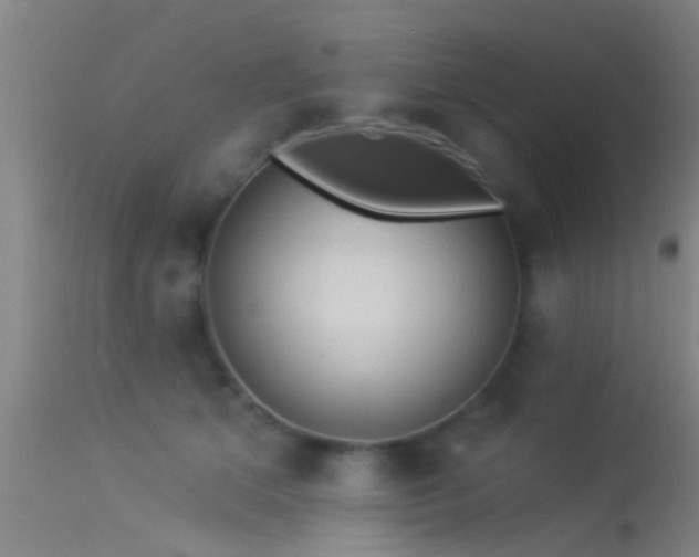 X0000114130513200910151548