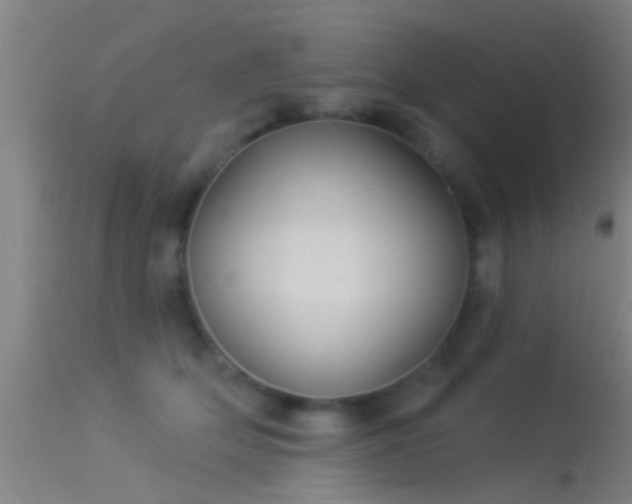 X0000114130514200910151548