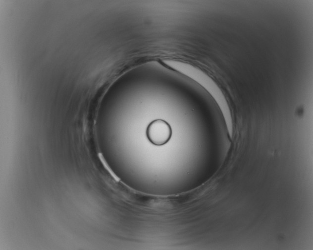 X0000114130520200910151548