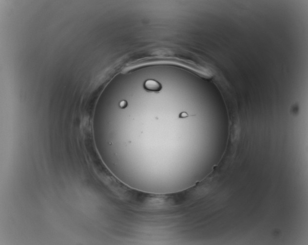 X0000114130521200910151548