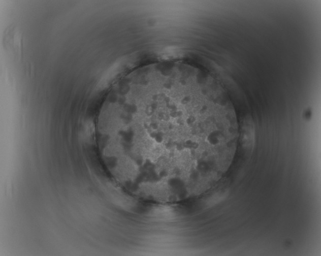 X0000114130523200910151548