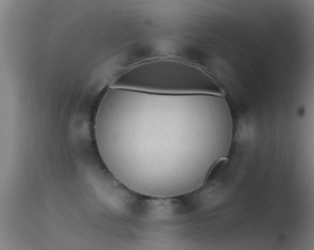 X0000114130524200910151548