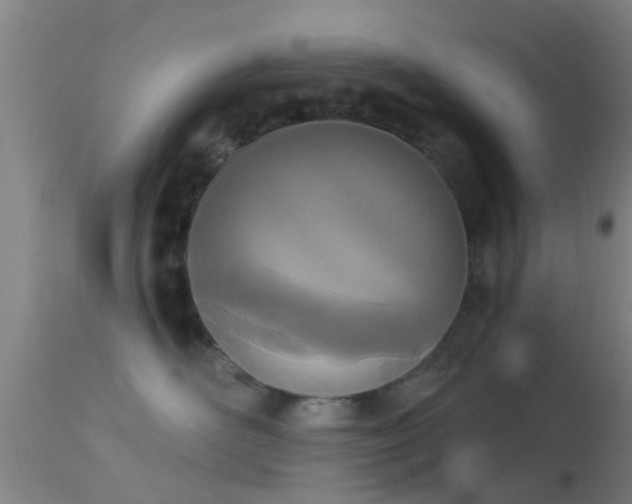 X0000114130526200910151548