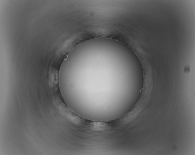 X0000114130528200910151548