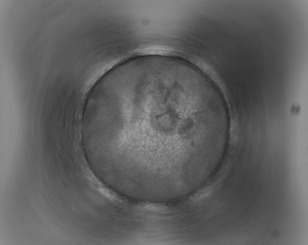 X0000114130529200910151547