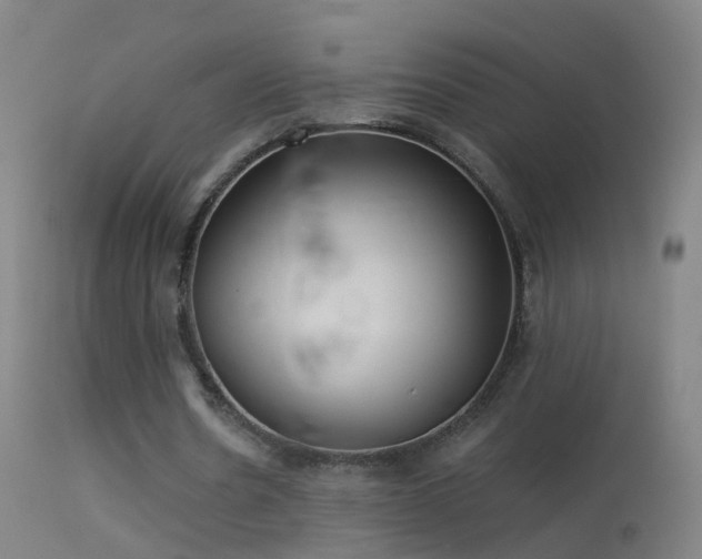 X0000114130530200910151547