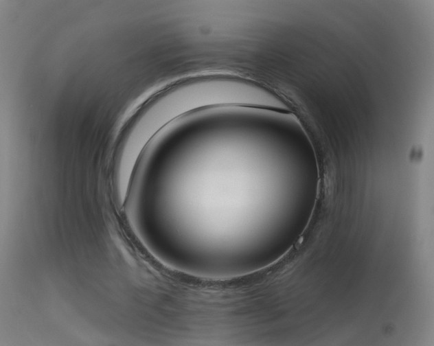 X0000114130532200910151547