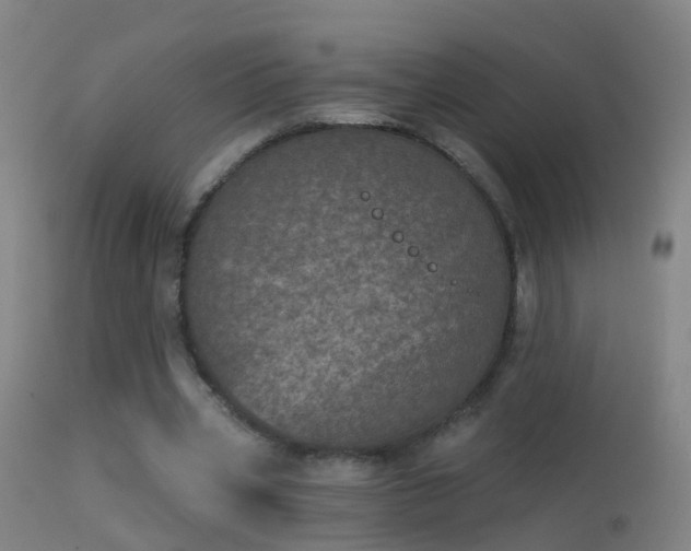 X0000114130533200910151547