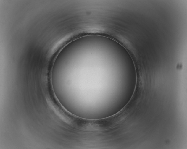 X0000114130535200910151547