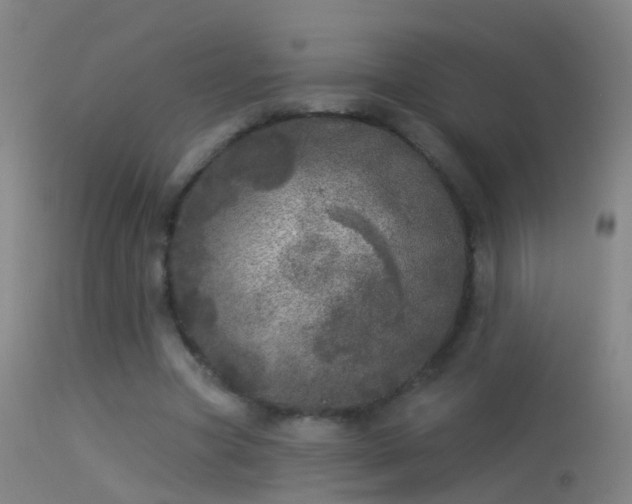 X0000114130537200910151547