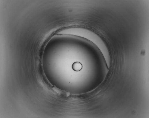 X0000114130540200910151547