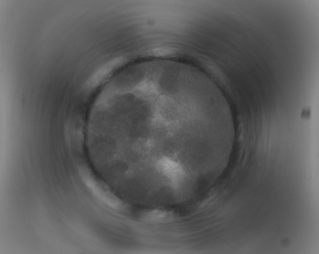 X0000114130542200910151548