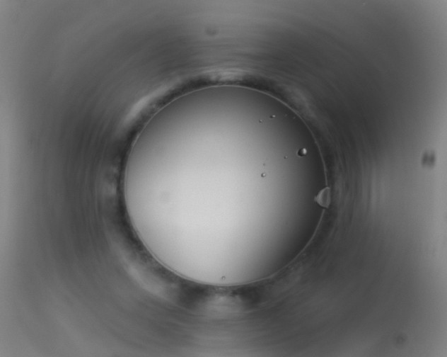 X0000114130543200910151548