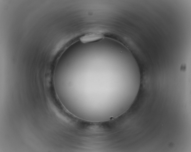 X0000114130544200910151548