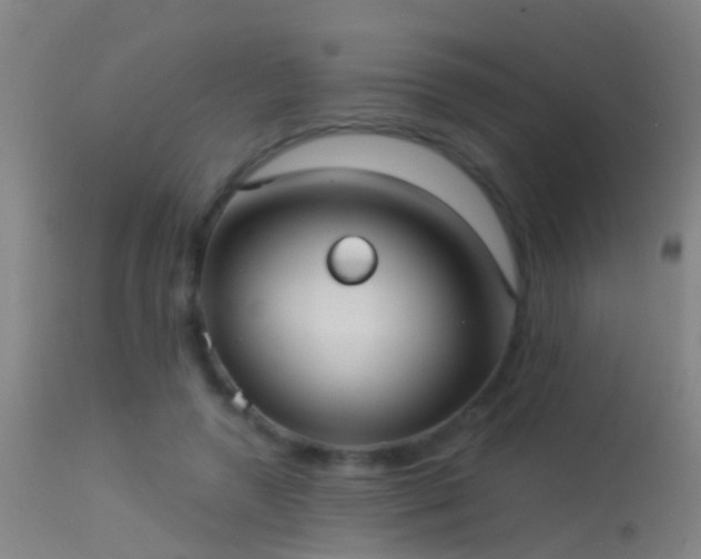 X0000114130546200910151548