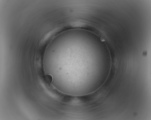 X0000114130547200910151548