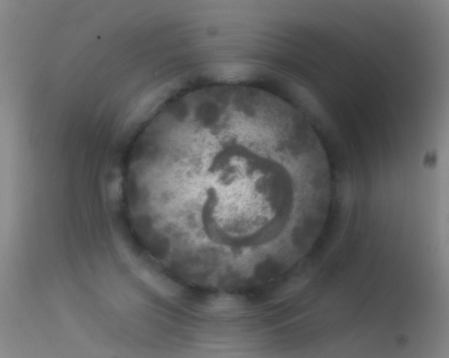 X0000114130549200910151548