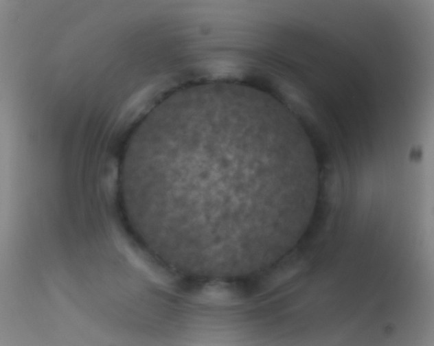 X0000114130550200910151548