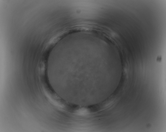 X0000114130551200910151548