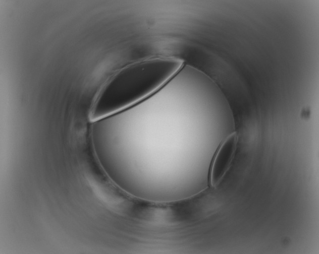 X0000114130552200910151548