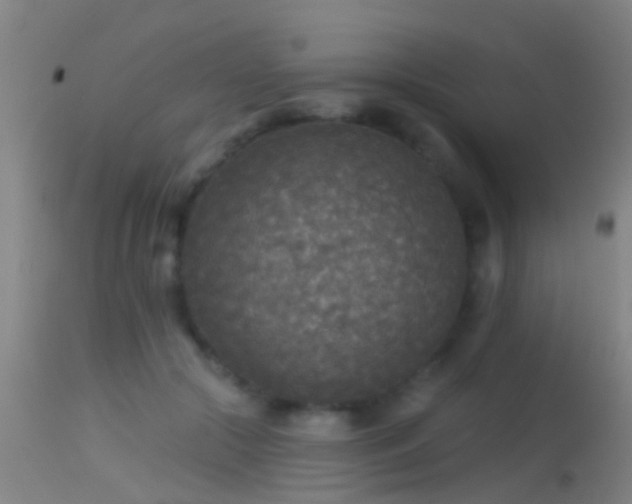 X0000114130553200910151548