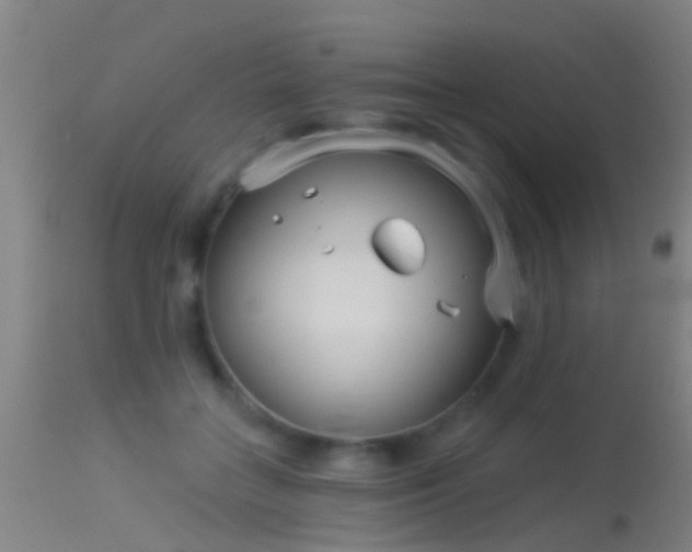 X0000114130555200910151548