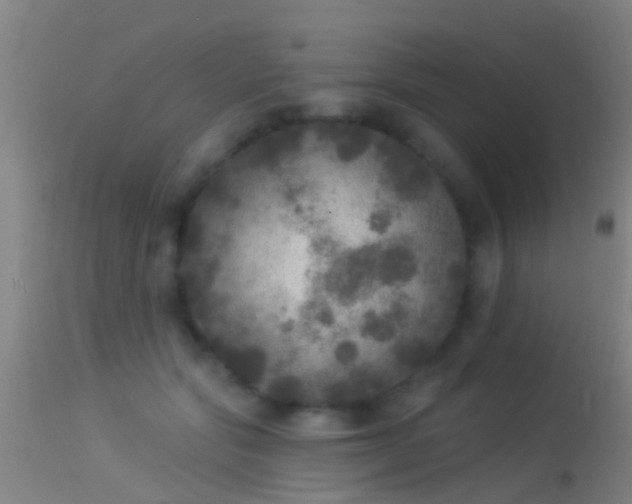 X0000114130557200910151548