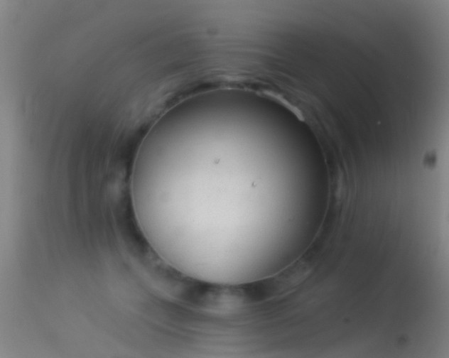 X0000114130559200910151548