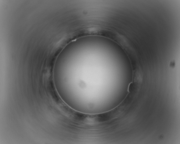 X0000114130560200910151548