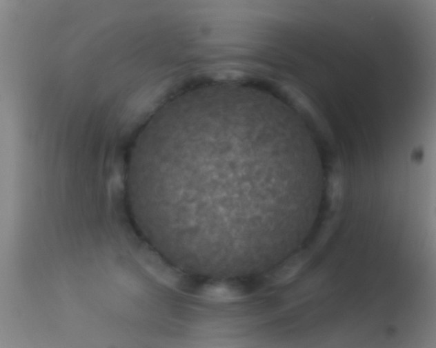 X0000114130561200910151548