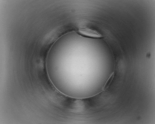 X0000114130562200910151548